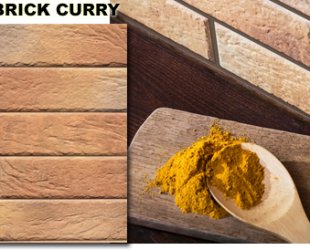 wodna elewacja loft brick curry JPG