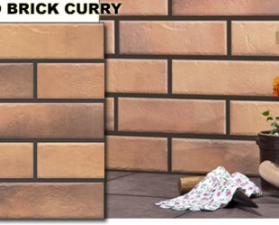 wodna elewacja retro brick curry JPG