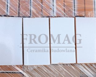 płytka biała szkliwiona 120x70x30.