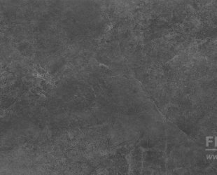 Tacoma steel 120x60