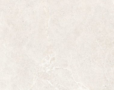 distinct-pearl-60x120-rf-1-e1744358592937