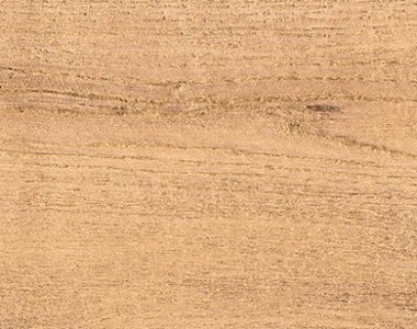 sentimental-wood-honey-120x20-rf-1