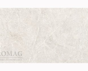 Distinct_ivory_60x120